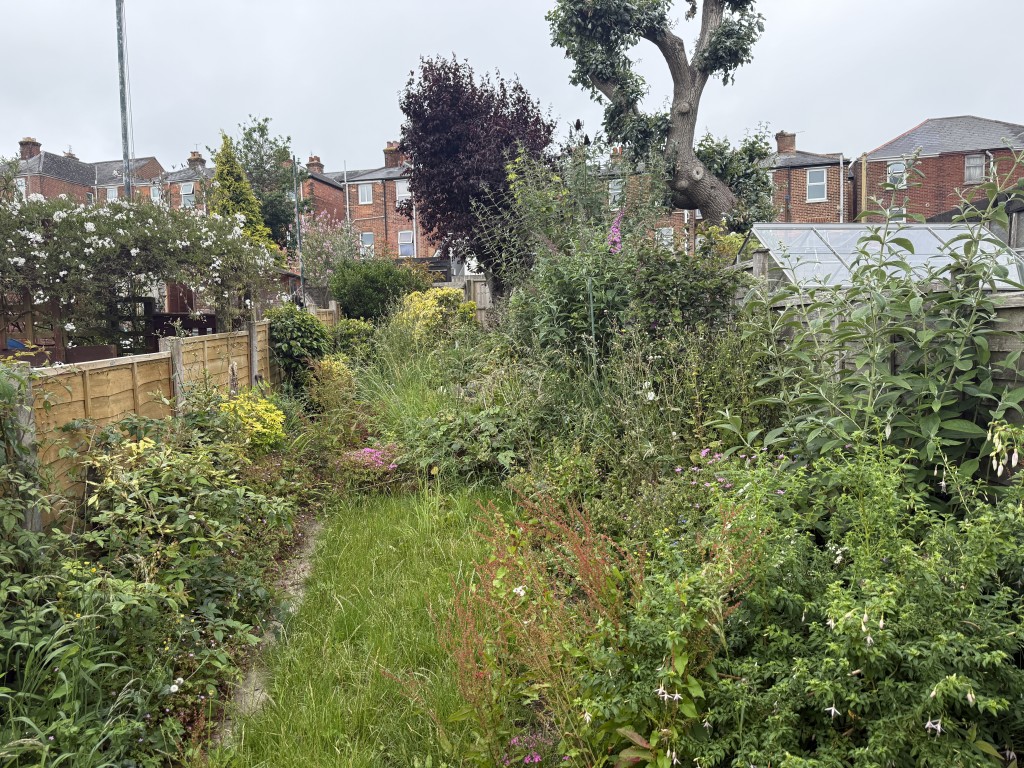 Lot: 142 - FREEHOLD TWO-BEDROOM HOUSE IN NEED OF IMPROVEMENT - Garden with fenced boundaries